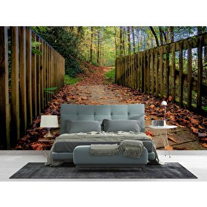 Sonbahar Köprü Manzaralı Duvar Kağıdı Baskı - Dkm243047 225x260 cm