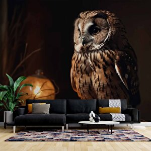 Gece Ve Baykuş Manzaralı Duvar Kağıdı - Dkm867113 300x315 cm