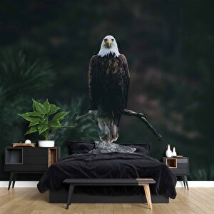 Kartal Temalı Duvar Kağıdı Baskı - Dkm504066