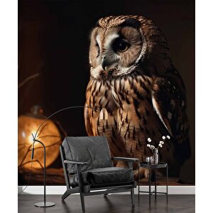 Gece Ve Baykuş Manzaralı Duvar Kağıdı - Dkm867014