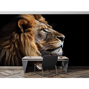 Siyah Zemin Ve Aslan Temalı Duvar Kağıdı - Dkm642028 275x240 cm