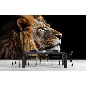 Siyah Zemin Ve Aslan Temalı Duvar Kağıdı - Dkm642028