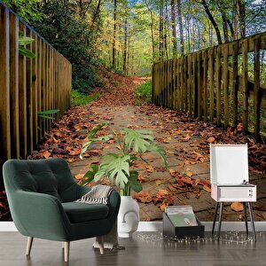 Sonbahar Köprü Manzaralı Duvar Kağıdı Baskı - Dkm243092