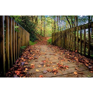 Sonbahar Köprü Manzaralı Duvar Kağıdı Baskı - Dkm243092