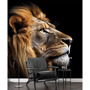 Siyah Zemin Ve Aslan Temalı Duvar Kağıdı - Dkm642103