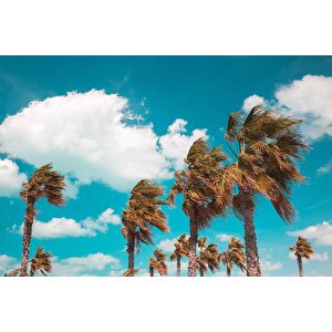 Palmiye Duvar Kağıdı Baskı - Dkm220111