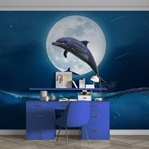 Ay Ve Yunus Manzaralı Duvar Kağıdı - Dkm917066