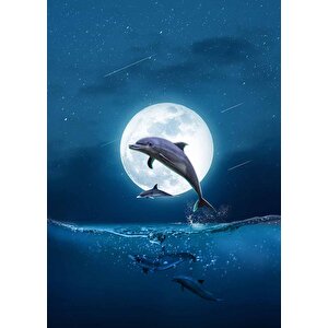 Ay Ve Yunus Manzaralı Duvar Kağıdı - Dkm917066