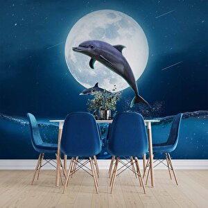 Ay Ve Yunus Manzaralı Duvar Kağıdı - Dkm917015