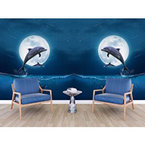 Ay Ve Yunus Manzaralı Duvar Kağıdı - Dkm917022