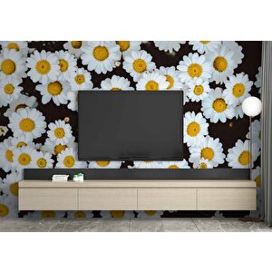 Papatya Temalı Duvar Kağıdı Baskı - Dkm614076 425x280 cm