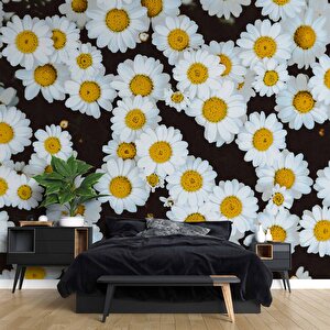 Papatya Temalı Duvar Kağıdı Baskı - Dkm614086 100x300 cm