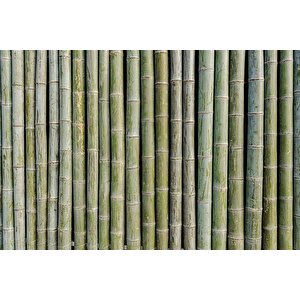 3 Boyutlu Bambu Duvar Temalı Duvar Kağıdı - Dkm649105