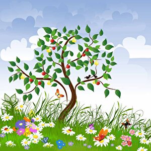 Meyve Ağaçlı Çocuk Odası Duvar Kağıdı Baskı - Dkm432087