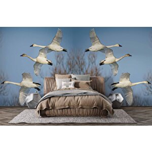 Leylek Göç Manzaralı Duvar Kağıdı - Dkm694116 375x315 cm
