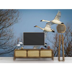 Leylek Göç Manzaralı Duvar Kağıdı - Dkm694065 100x280 cm