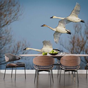 Leylek Göç Manzaralı Duvar Kağıdı - Dkm694065