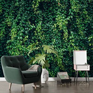 Sarmaşıklı Yaprak Temalı Duvar Kağıdı Baskı - Dkm510072