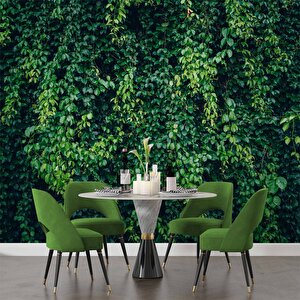 Sarmaşıklı Yaprak Temalı Duvar Kağıdı Baskı - Dkm510079