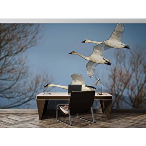 Leylek Göç Manzaralı Duvar Kağıdı - Dkm694041