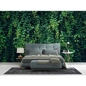 Sarmaşıklı Yaprak Temalı Duvar Kağıdı Baskı - Dkm510075 400x280 cm