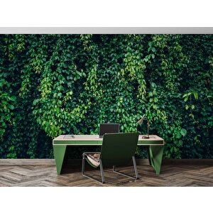 Sarmaşıklı Yaprak Temalı Duvar Kağıdı Baskı - Dkm510095