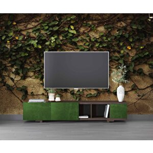 Sarmaşık Ve Duvar Temalı Duvar Kağıdı - Dkm475105 800x300 cm