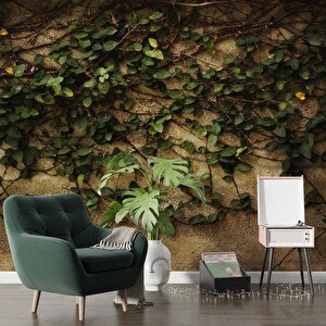 Sarmaşık Ve Duvar Temalı Duvar Kağıdı - Dkm475105