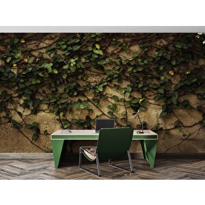 Sarmaşık Ve Duvar Temalı Duvar Kağıdı - Dkm475020