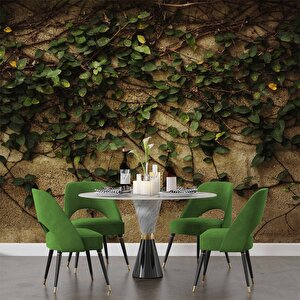 Sarmaşık Ve Duvar Temalı Duvar Kağıdı - Dkm475020