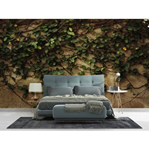 Sarmaşık Ve Duvar Temalı Duvar Kağıdı - Dkm475068 225x280 cm