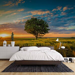 Bulut Ağaç Gündoğumu Manzaralı Duvar Kağıdı Baskı - Dkm237089 225x300 cm