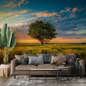 Bulut Ağaç Gündoğumu Manzaralı Duvar Kağıdı Baskı - Dkm237104 700x300 cm