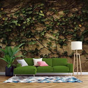 Sarmaşık Ve Duvar Temalı Duvar Kağıdı - Dkm475071 300x280 cm