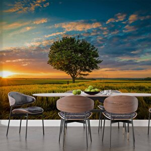 Bulut Ağaç Gündoğumu Manzaralı Duvar Kağıdı Baskı - Dkm237008
