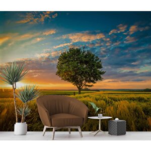 Bulut Ağaç Gündoğumu Manzaralı Duvar Kağıdı Baskı - Dkm237008