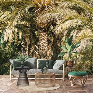 Palmiye Temalı Duvar Kağıdı Baskı - Dkm229117 400x315 cm