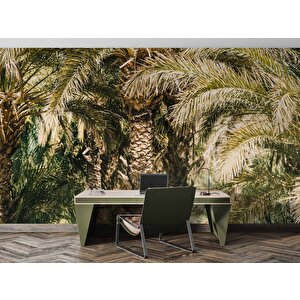 Palmiye Temalı Duvar Kağıdı Baskı - Dkm229117
