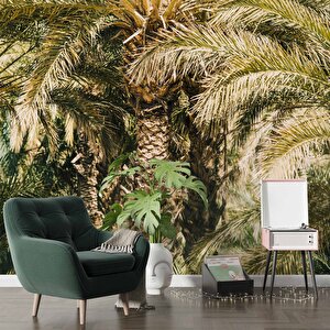 Palmiye Temalı Duvar Kağıdı Baskı - Dkm229117