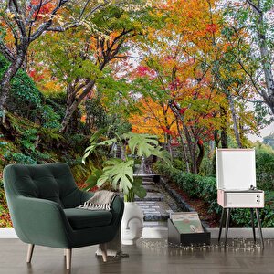 Orman Ve Patika Yol Manzaralı Duvar Kağıdı - Dkm865096