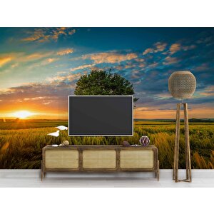 Bulut Ağaç Gündoğumu Manzaralı Duvar Kağıdı Baskı - Dkm237015 475x200 cm