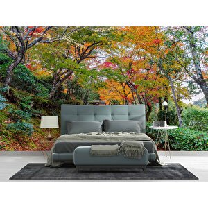 Orman Ve Patika Yol Manzaralı Duvar Kağıdı - Dkm865026 225x240 cm