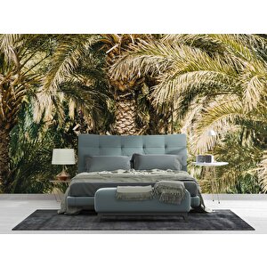 Palmiye Temalı Duvar Kağıdı Baskı - Dkm229124 600x315 cm