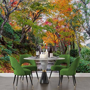 Orman Ve Patika Yol Manzaralı Duvar Kağıdı - Dkm865053