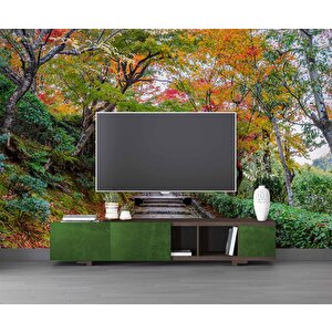 Orman Ve Patika Yol Manzaralı Duvar Kağıdı - Dkm865105 800x300 cm