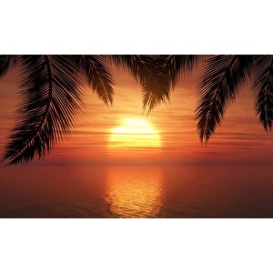 Günbatımı Palmiye Deniz Manzaralı Duvar Kağıdı Baskı - Dkm217026