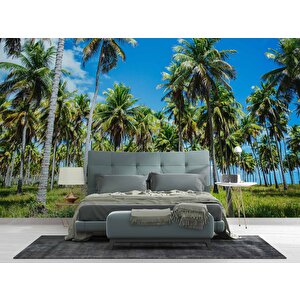 Palmiye Duvar Kağıdı Baskı - Dkm248092 300x300 cm
