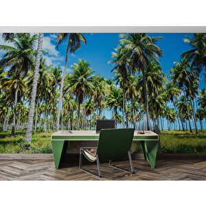 Palmiye Duvar Kağıdı Baskı - Dkm248092