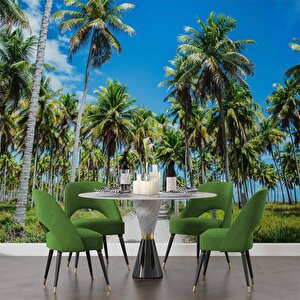 Palmiye Duvar Kağıdı Baskı - Dkm248092