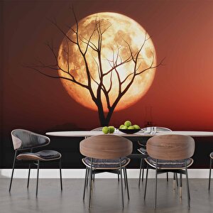 Günbatımı Ağaç Ve Ay Manzaralı Duvar Kağıdı - Dkm722064